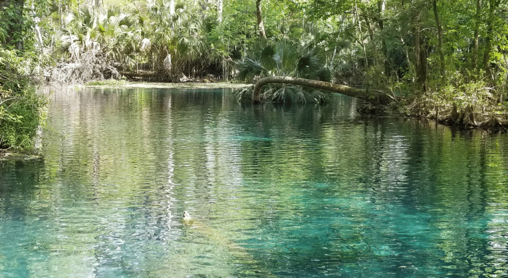 Férias de verão em Orlando