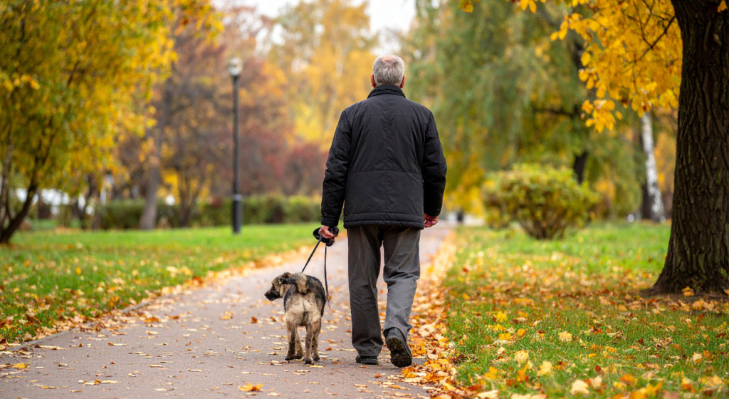 Horizon West Orlando Real Estate Horizon West Orlando Real Estate